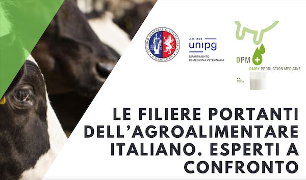 Webinar su "Le filiere portanti dell'agroalimentare italiano. Esperti a confronto"