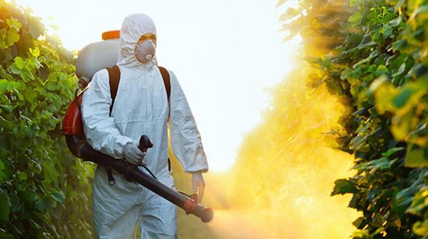 Blocco Acquisto Fitosanitari - Scheda 50 Fogli Per Registrazione Prodotti Agricoli