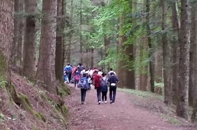 Progetto "Viaggio nella natura". I bambini diventano ambasciatori dell'ambiente