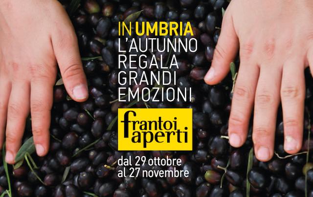 Olio protagonista con "Frantoi Aperti". Fiumi di oro verde irrigano l'Umbria
