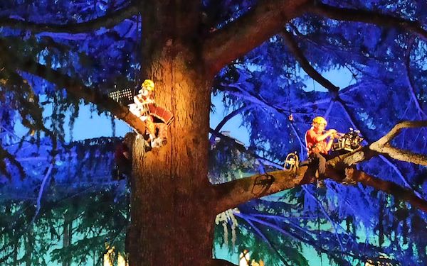 Musica tra i rami del cedro secolare, Paolo Fresu suona per ascoltare la natura
