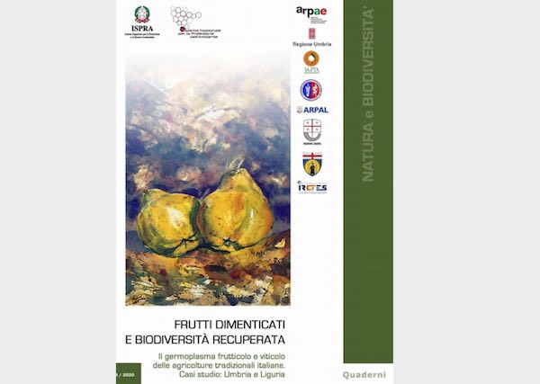 Frutti dimenticati, on line la nuova pubblicazione di Ispra in collaborazione con 3A-PTA