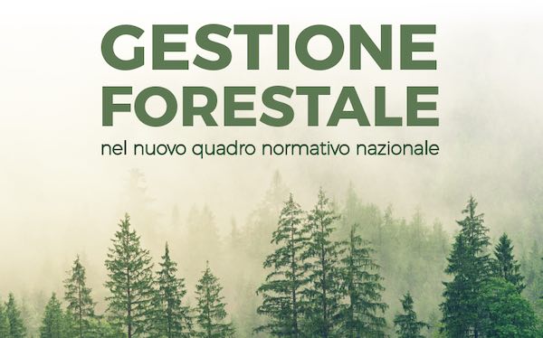 Gestione Forestale nel nuovo quadro normativo nazionale