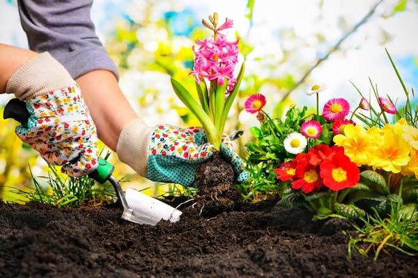 "Adotta uno spazio verde", il Comune lancia una nuova iniziativa green