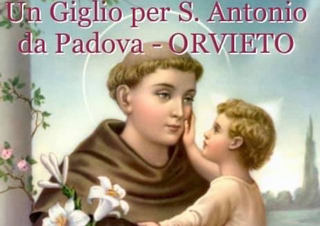 Un Giglio per Sant'Antonio, l'omaggio social di Orvieto alla tradizione