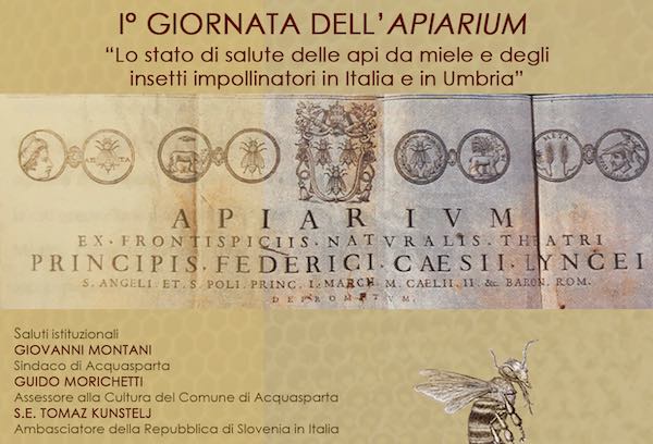 "Lo stato di salute delle api da miele e degli insetti impollinatori in Italia e in Umbria"