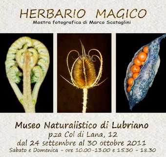 Dal 24 settembre al 30 ottobre al Museo Naturalistico di Lubriano Mostra Fotografica di Marco Scataglini