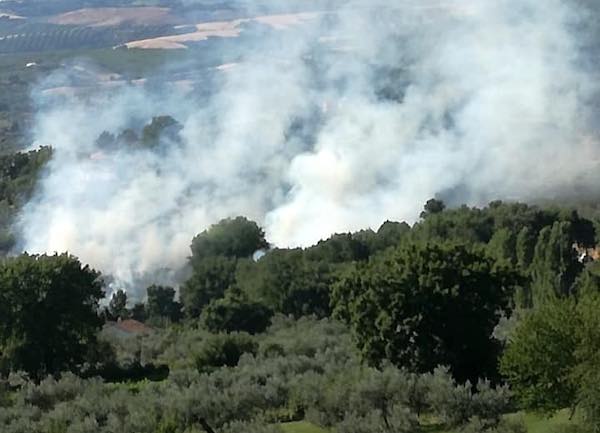 "Basta incendi sul territorio. Chi ha sospetti, segnali senza indugio"