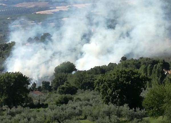 "Basta incendi sul territorio. Chi ha sospetti, segnali senza indugio"  