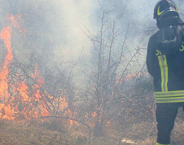 Ancora incendi di sterpaglie, in campo la squadra boschiva dei vigili del fuoco