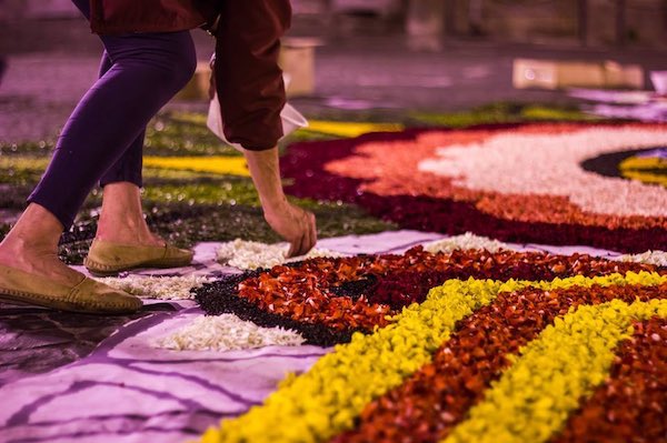 "Le Quattro Stagioni" ispirano le infiorate della quinta Festa del Fiore