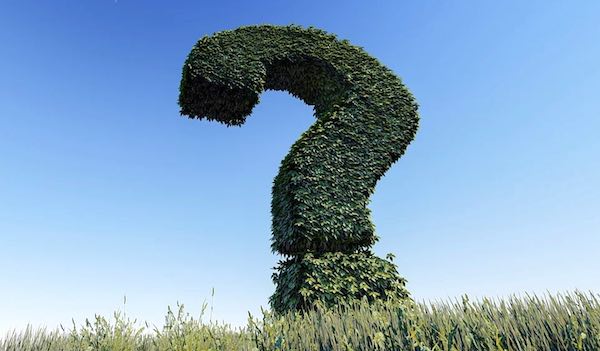 Il Campionato d'Eccellenza inizia sì o no il 18? Non si sa.