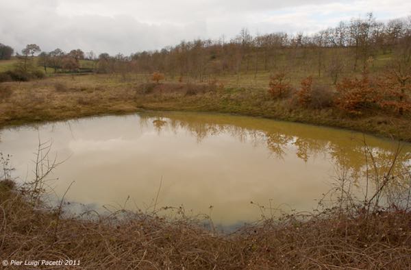L'appello degli ambientalisti: "Proteggiamo il tesoro de La Renara"