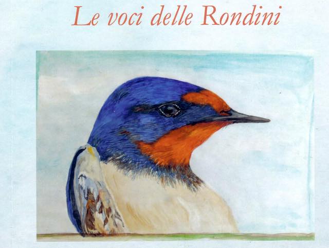 Il Centro Studi Ornitologici "Antonio Valli da Todi" presenta "Le Voci delle Rondini"