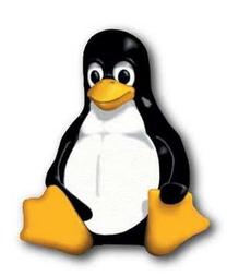 Corso di formazione informatica su Linux (Livello Base) organizzato da Orvieto Linux User Group