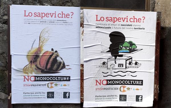 "Lo sapevi che?". Campagna di affissioni sui noccioleti in 9 comuni dell'Orvietano