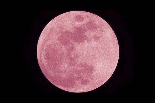 Luna rosa, spettacolo celeste. Tre giorni, pieni di illusione