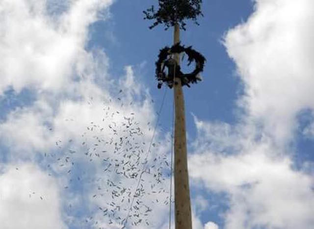 Sull'Alfina rivive l'Antica Tradizione del Maggio