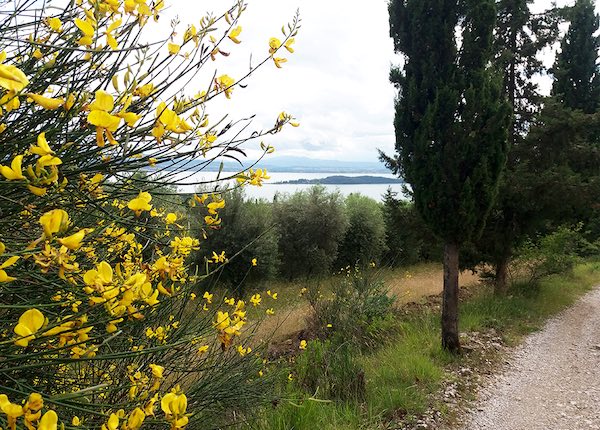 Escursione vista lago, costeggiando la Torre dei Lambardi