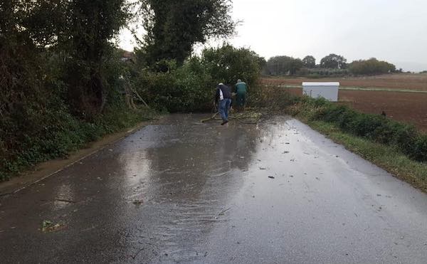 Torna il maltempo, strade allagate e rami pericolanti