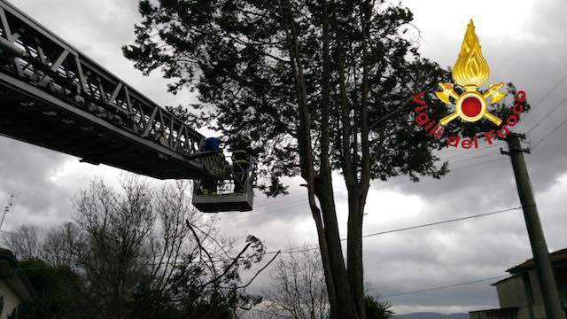 Alberi caduti, rami pericolanti e frane in tutto il territorio provinciale