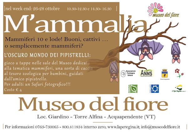 "M'ammalia" al Museo del Fiore per conoscere il mondo dei pistrelli 