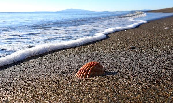 Spiagge a misura di bambino, assegnate le Bandiere Verdi 2020 dei pediatri