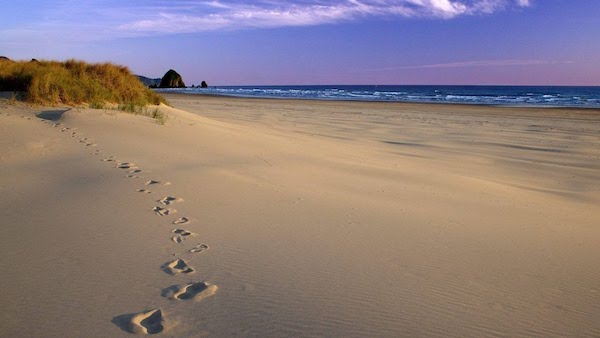 Mare