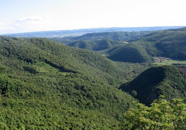 Monte Peglia, patrimonio Unesco della biodiversità. Orvieto sostiene la candidatura 