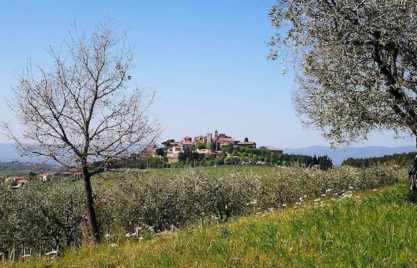 Le eccellenze agricole di Montegabbione approdano su "Geo"