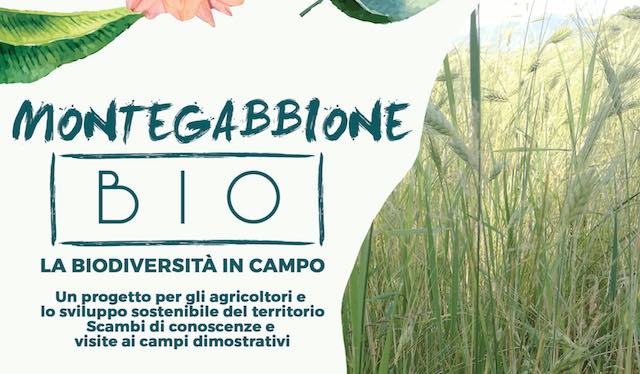 "Montegabbione Bio". Biodiversità in campo per un nuovo modello di sviluppo sostenibile