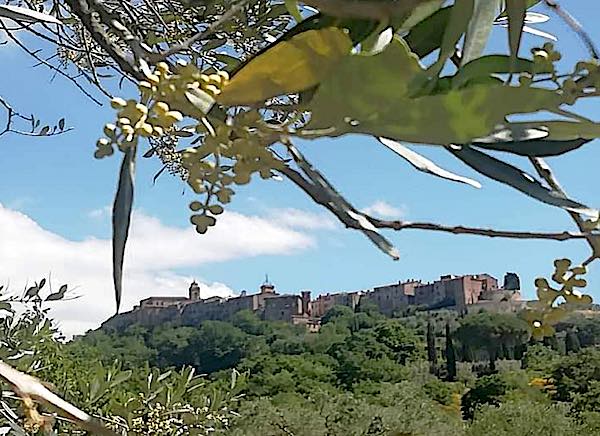 Riscoprire le tradizioni. Valorizzare il territorio. Creare un futuro per le nuove generazioni. Un nuovo inizio per Monteleone d'Orvieto!  