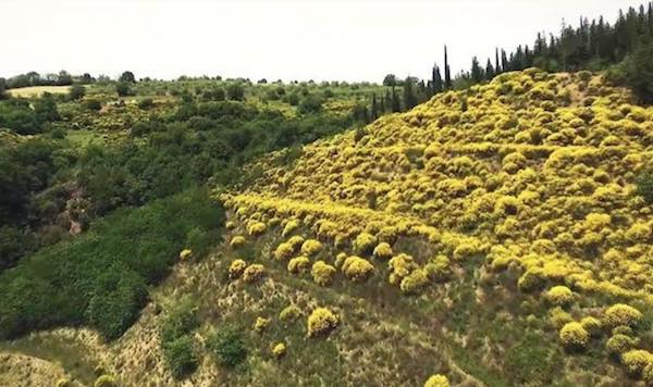 Monte Peglia, un valore aggiunto per la ripartenza di tutta l'Umbria
