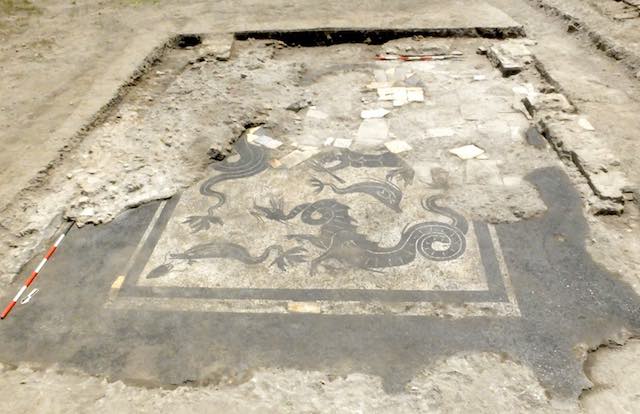 Dagli scavi di Campo della Fiera affiora un mosaico con raffigurazioni marine