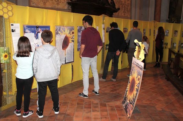 Chiusa la mostra di Maria Assunta Pioli dedicata alle api. Oltre 85.000 i visitatori