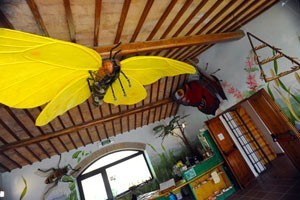 "Una pianta per ogni malanno" al Museo del fiore di Acquapendente