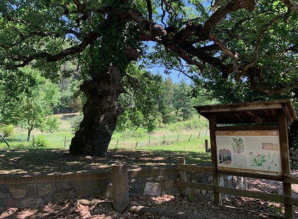 Sentiero Natura del Fiore, 22 stazioni per immergersi nella bellezza