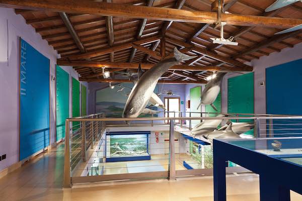 Musei di Maremma al primo posto nella graduatoria regionale per i sistemi museali