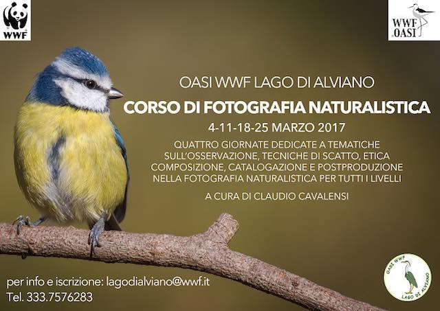 Corso di Fotografia Naturalistica all'Oasi WWF Lago di Alviano