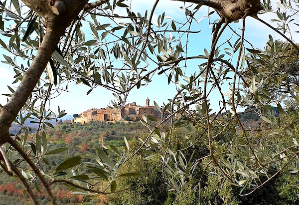 Decreto olivicultura, priorità agli oliveti iscritti nel registro dei Paesaggi Rurali Storici