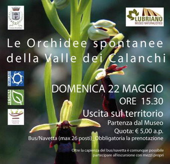 Domenica 22 Maggio a Lubriano uscita sul territorio alla scoperta delle Orchidee della Valle dei Calanchi