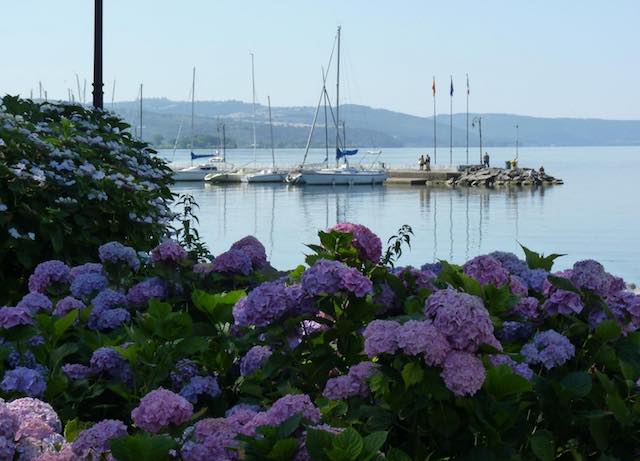 Tutto pronto sulle rive del lago per la Festa delle Ortensie