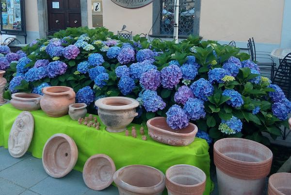 "Tra giardini, cortili e palazzi", sulle rive del lago le ortensie fanno festa