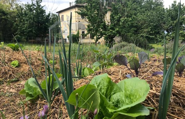 Tre detenuti della Casa Circondariale sperimentano il lavoro fuori dal carcere