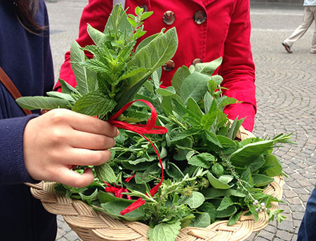 Slow Food day: tema di riflessione "lo spreco". La condotta di Orvieto in Piazza della Repubblica il 25 maggio