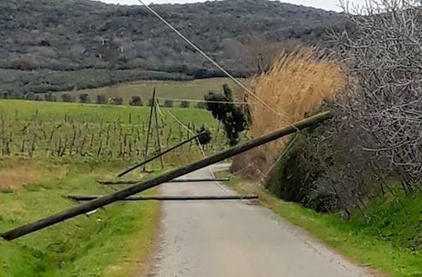 Pali del telefono in abbandono, nessuno li toglie: arrivano i carabinieri