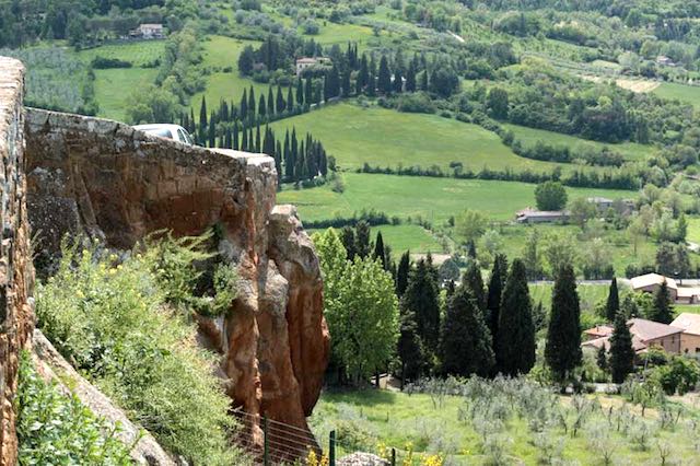 "Piantiamo un olmo all'Olmo". Quartiere medievale in festa per Sant'Antonio