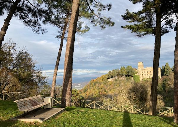Il Parco del Pinaro è Luogo del Cuore FAI. Ora si va verso il bando "I Luoghi del Cuore"