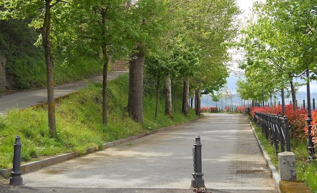 "AllenaMente". Pillole di cultura e note, passeggiando per le vie del centro