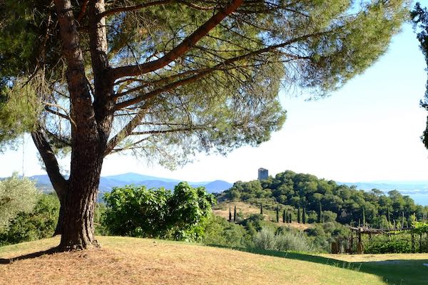 Escursione con degustazione finale di Fagiolina del Trasimeno, olio nuovo e vino